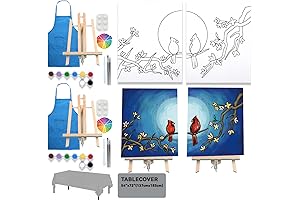 2-Pack Pre-Drawn Canvas Painting Kit