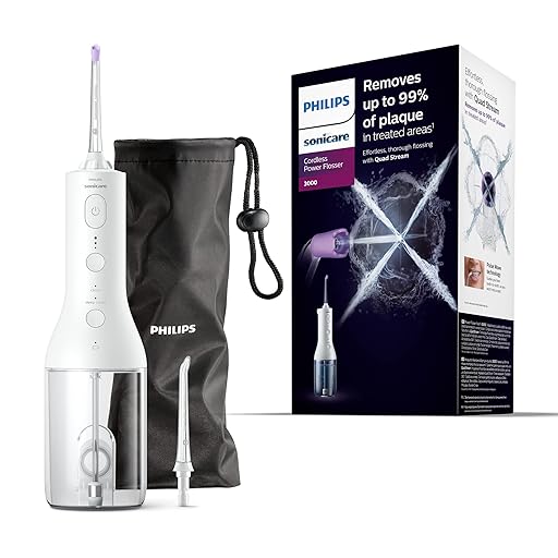 Philips Power Flosser 3000