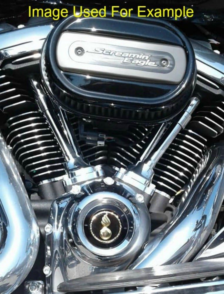 Milwaukee Eight Black M8 Timing Cover Coin Mount