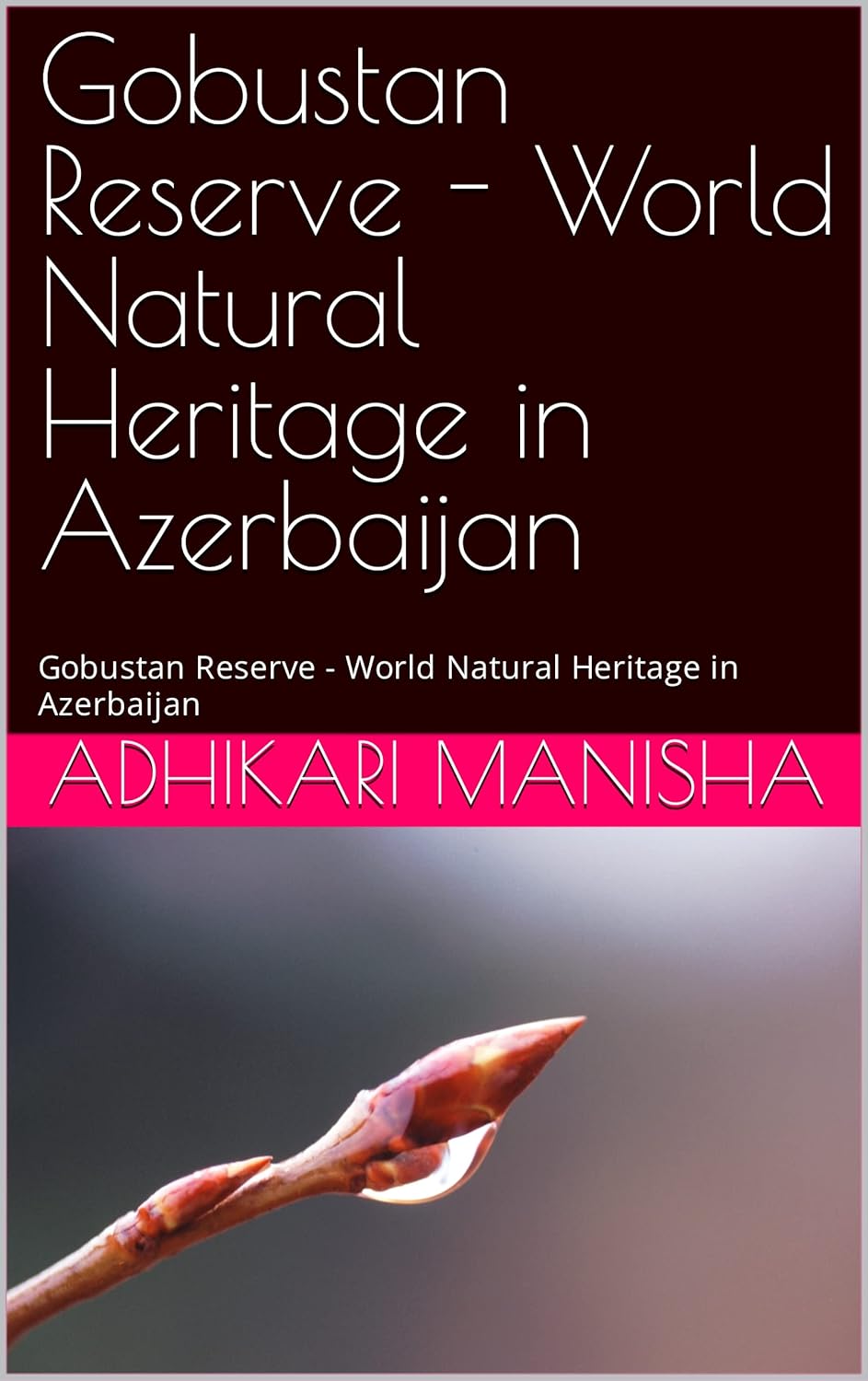Amazon Gobustan Reserve World Natural Heritage in Azerbaijan