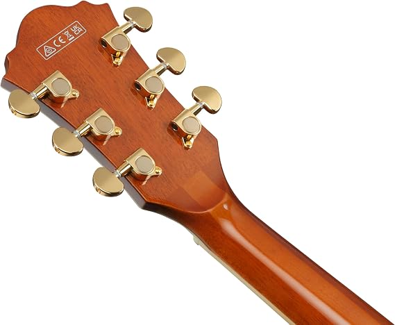 Ibanez AG95MG Artcore Expressionist Hollowbody Electric Guitar, Ebony Fingerboard, Dark Amber