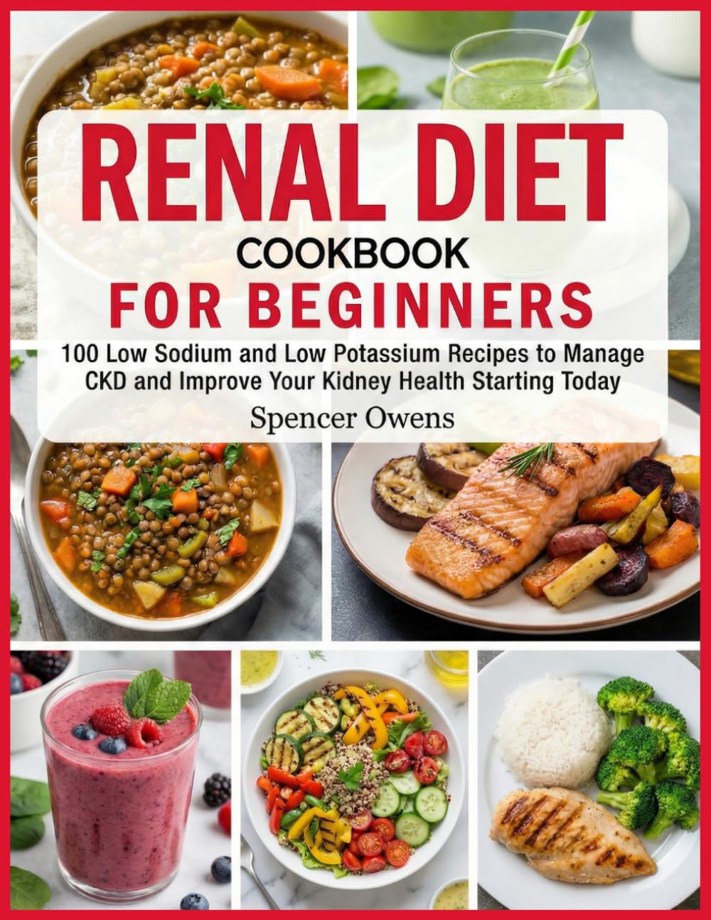 Renal Diet Cookbook For Beginners: 100 Low Sodium and Low Potassium Recipes to Manage CKD and Improve Your Kidney Health Starting Today