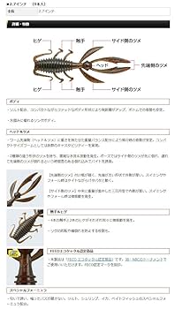Amazon.co.jp: エバーグリーン(EVERGREEN) ワーム アント