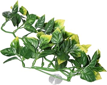 Hagen Exo Terra Plastic Terrarium Plant, Small, Amapallo