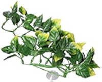 Exo Terra Plastic Terrarium Plant, Small, Amapallo