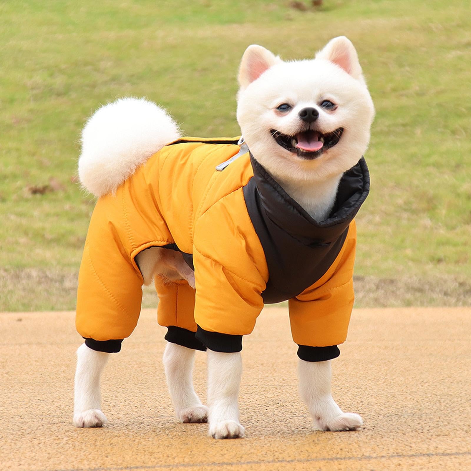 Abrigo Impermeable para Perros, Body con Rayas Reflectantes Y Cremallera. Ropa de Abrigo para Perros. Chaqueta Cálida para Cachorros, Amarillo XL