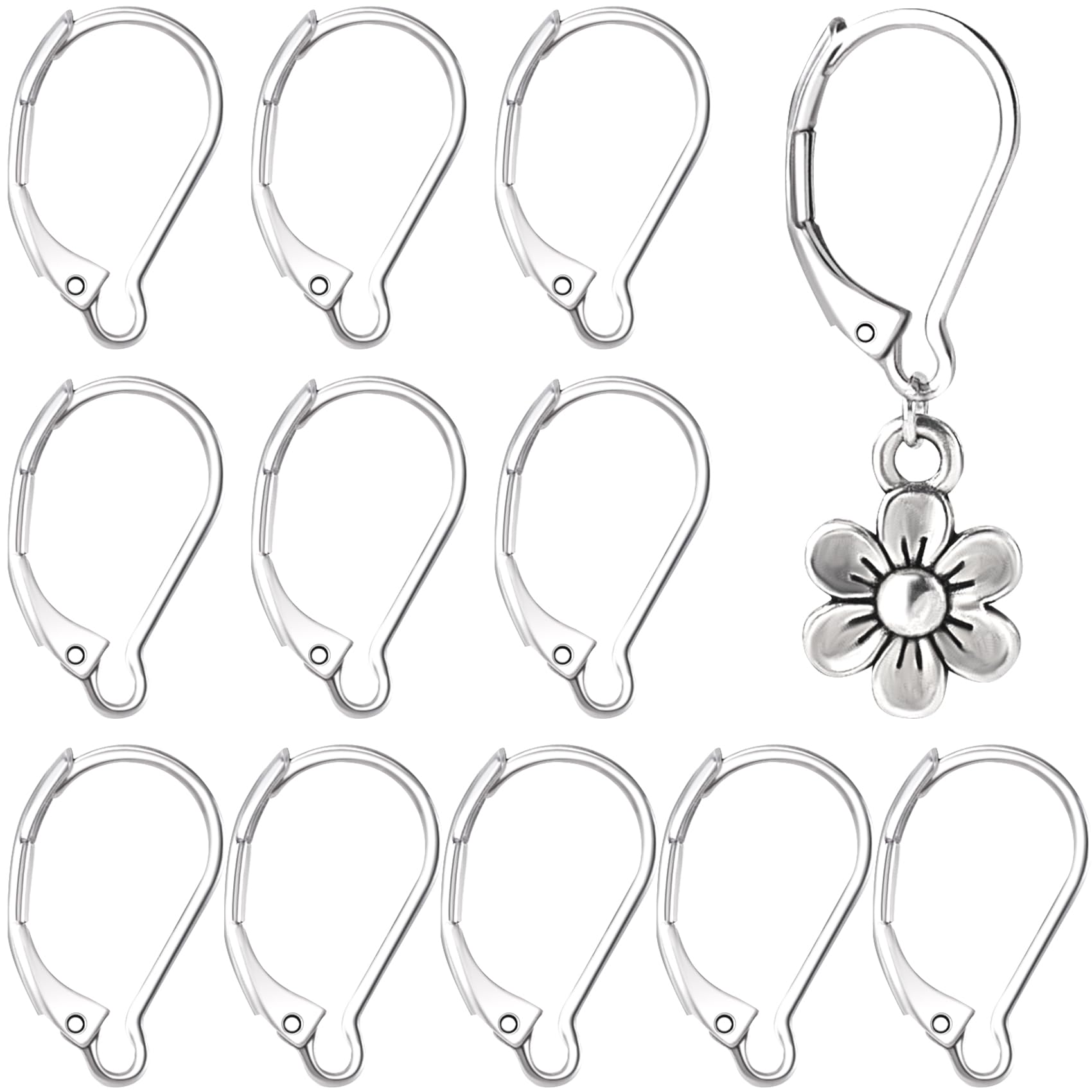 Alpinleux 12 Pcs Leverback Earring Hooks, Stainless Steel Clasp Hoop, Hypoallergenic Dangles Earring Hooks, French Ear Wire Findings for Women, DIY Crafts, Jewelry Making (Silver)