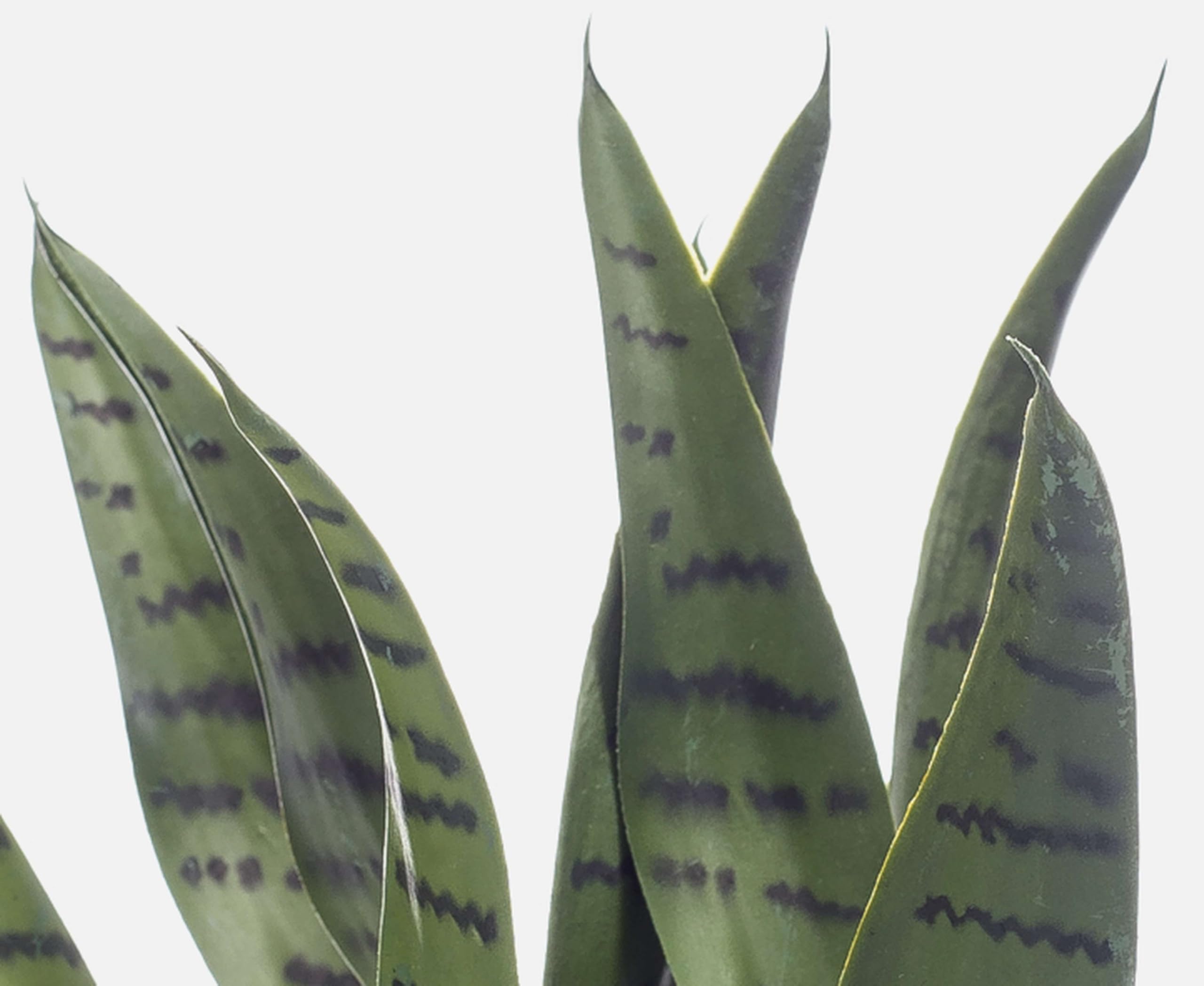 artplants.de Sansevieria synthétique POLIANA, Vert, 50cm