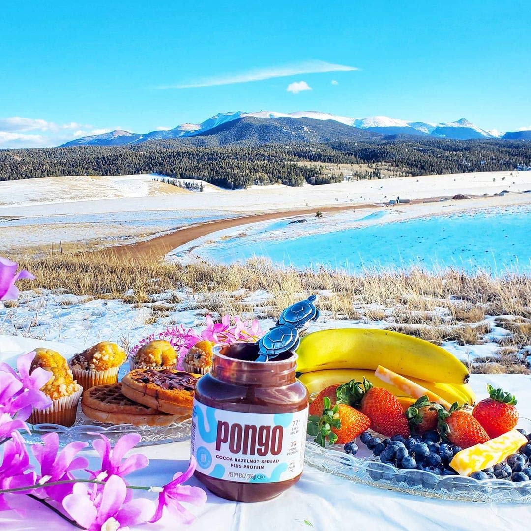 Buy Pongo Cocoa Hazelnut Protein Spread Low Sugar and Low Carb