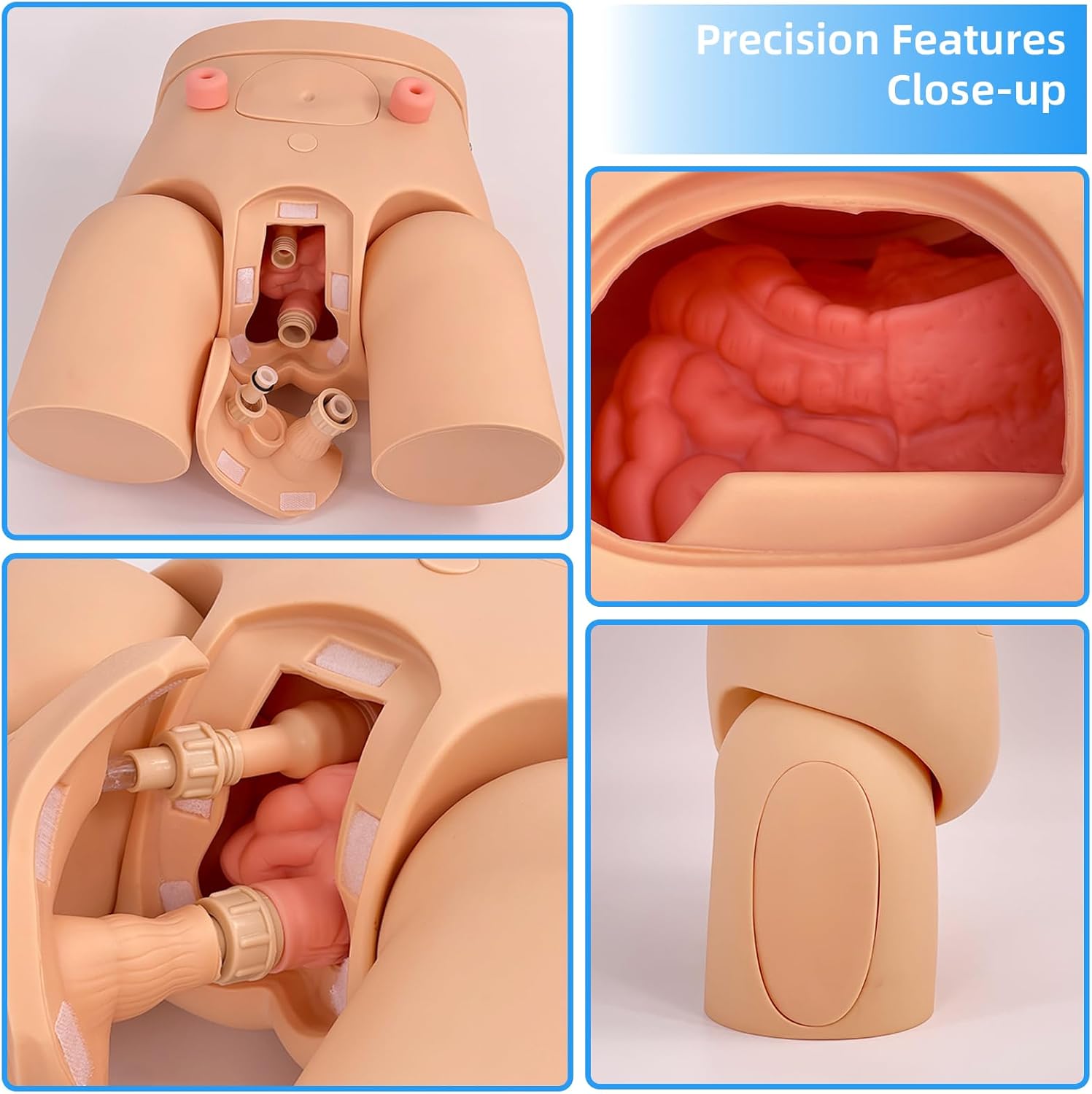 Catheterization Model Male Female Interchangeable, Nursing Practice Urinary Urethral Catheter Manikins PVC Teaching Catheter Model for Students Or Nurses Catheterization Simulator Kit