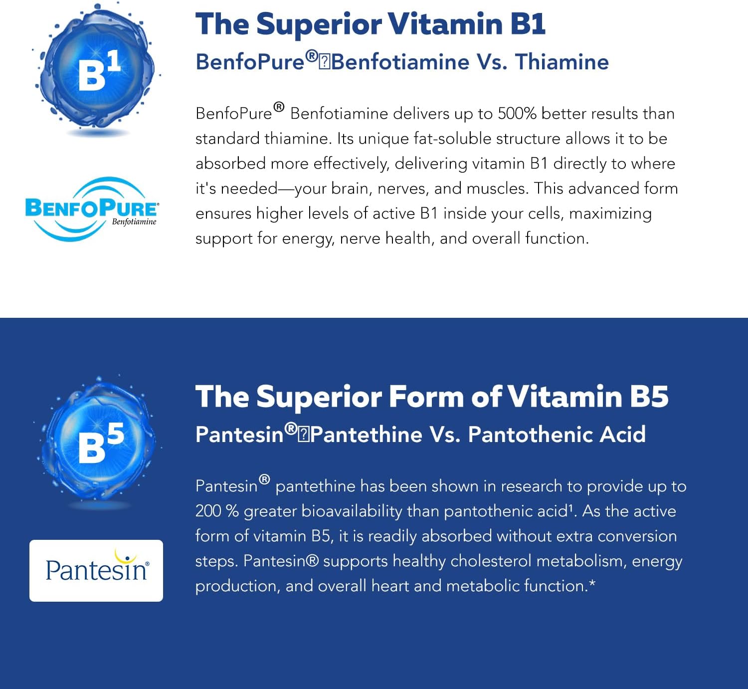BioActive Vitamin B Complex - Blood Stream Ready, Methylated B Complex - Featuring Methylfolate, 3 BioActive Forms of B12, BenfoPure® B1 & Pantesin® B5 - 12 B Vitamins in Clinical Doses - 60 Servings - Image 7
