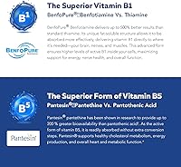 Vista 7 de Complejo de Vitamina B BioActive - Listo para el Torrente Sanguíneo, Complejo B Metilado - Con Metilfolato, 3 Formas BioActive de B12, BenfoPure® B1
