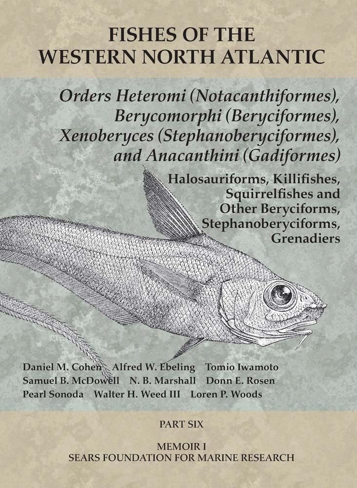 Orders Heteromi (Notacanthiformes), Berycomorphi (Beryciformes), Xenoberyces (Stephanoberyciformes), Anacanthini (Gadiformes): Part 6 (Fishes of the Western North Atlantic)