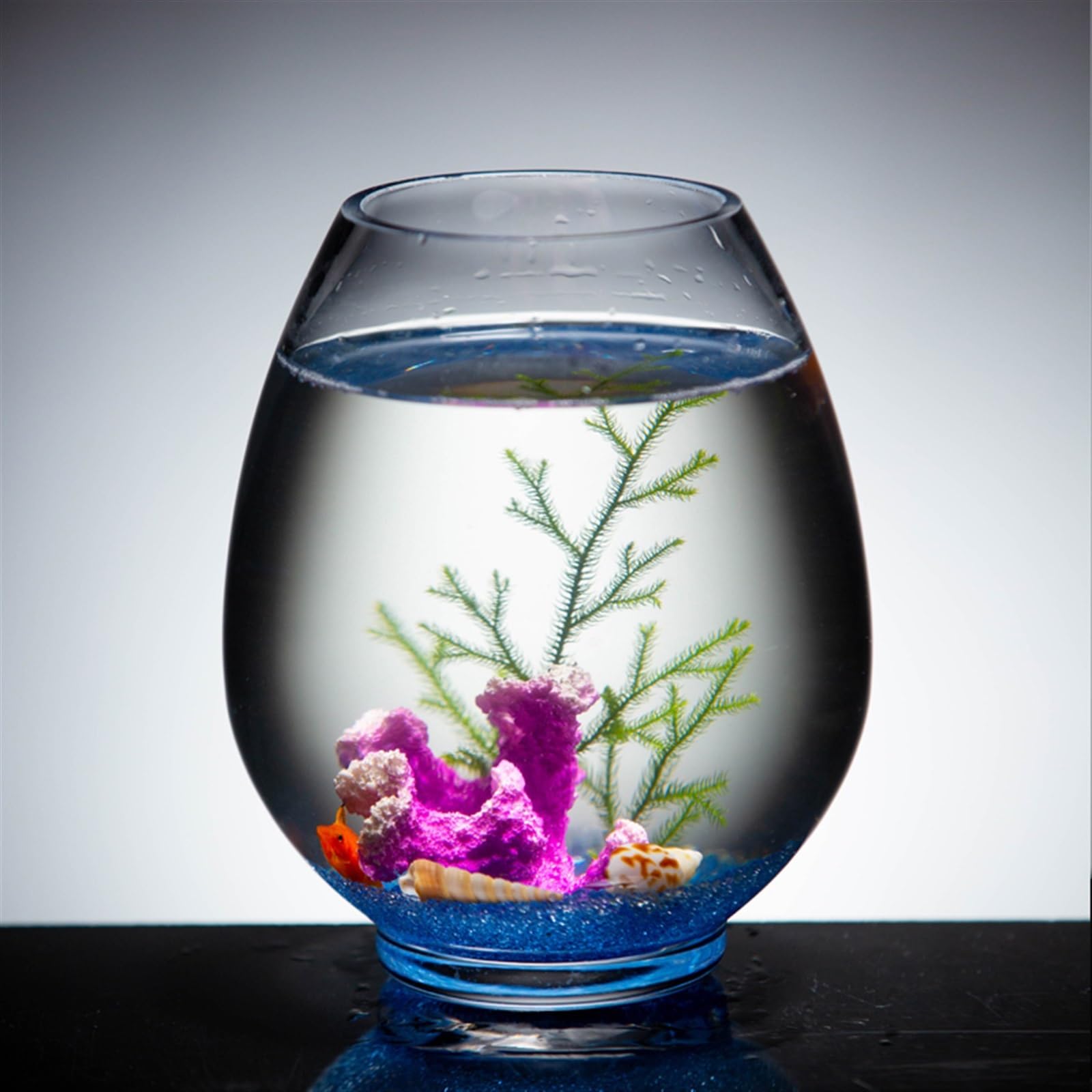 ⭐️ガラスの水族館⭐️箱根ガラス⭐️アクアリウムアート⭐️水泡⭐️ Amazon | 水族館 クリエイティブ 水槽 アクアリウム 丸型 ガラス