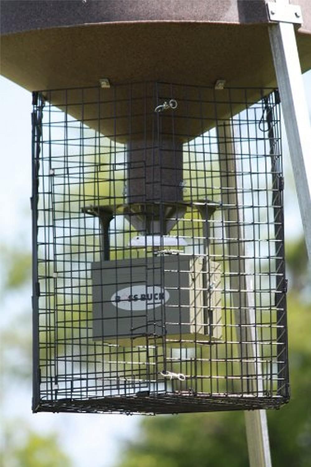 Boss Buck Varmint Cage, Black, Large Hunting Game Feeders Sports & Outdoors