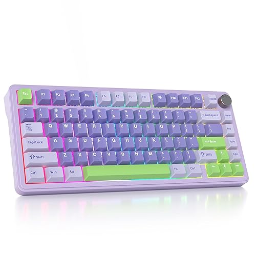 surmen M75 75% Wireless Creamy Keyboard with Gasket, Pre-lubed Triple Mode Bluetooth Mechanical Gaming Keyboard BT5.0/2.4Ghz/USB with Sound Absorbing Pads Hot-Swap(Lavender) - Lavender
