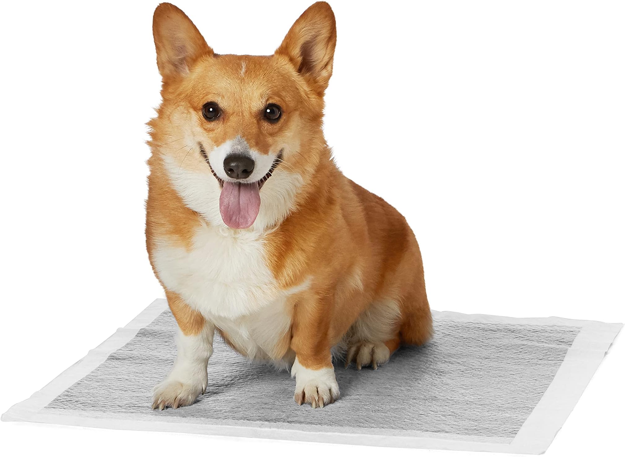 AmazonBasics Carbon Pet Training Pads (Regular - 80 Count)