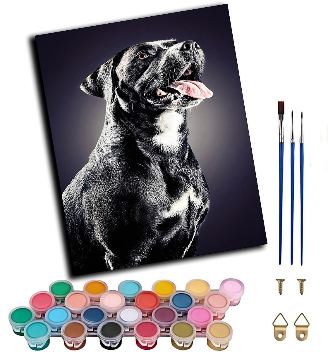 WANGWANGMIAO Paint by Numbers Kits for Adults,Staffordshire Bull Terrier Black Dog Painting by Number Kits On Canvas,DIY Color Acrylic Oil Paints Home Wall Decor 16x20inch/40×50CM,with Frame