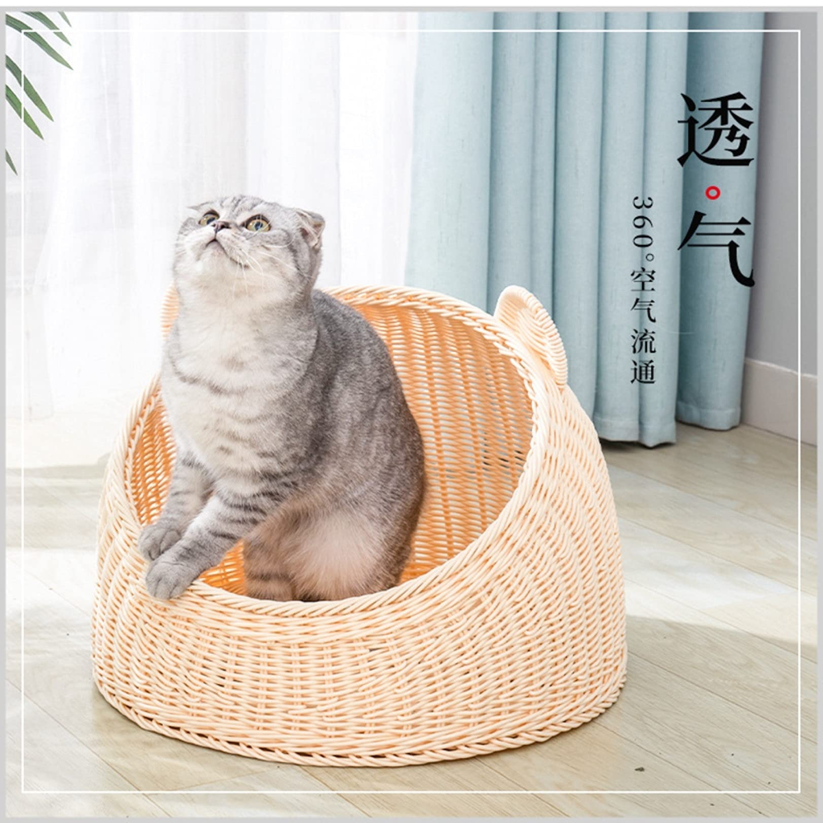 Amazon.co.jp: ラタン ペットベッド 猫ハウス 夏用 可愛い猫耳型