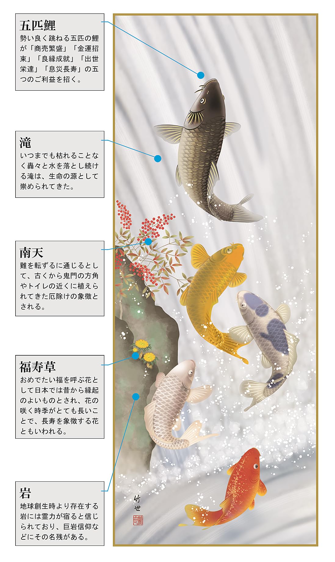 Amazon.co.jp: 掛け軸 総本家 開運画 夏夏 用 鯉 五鯉躍南天福寿