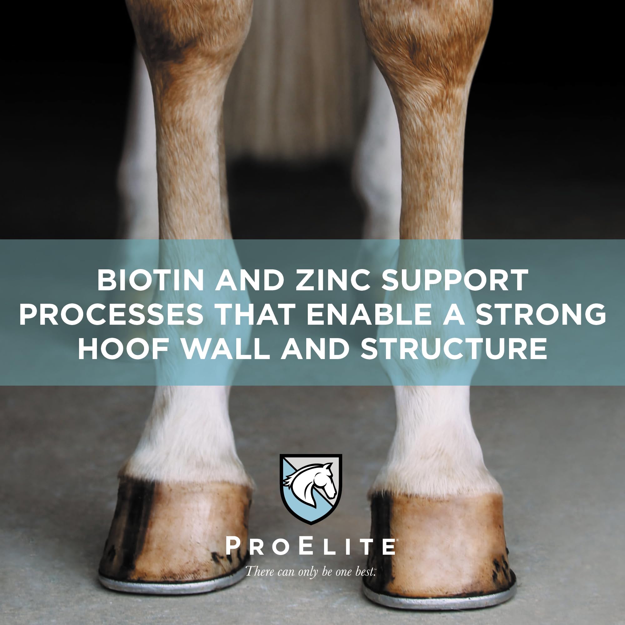 Condition photo showing New/Like New for ProElite Hoof, Horse Hoof Supplement, 3 lbs