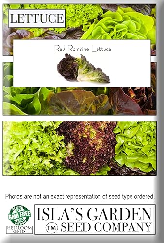 Miniatura 8 de Semillas de lechuga romana roja para plantar, más de 1000 semillas tradicionales por paquete, semillas de jardín de Isla (semillas de jardín de
