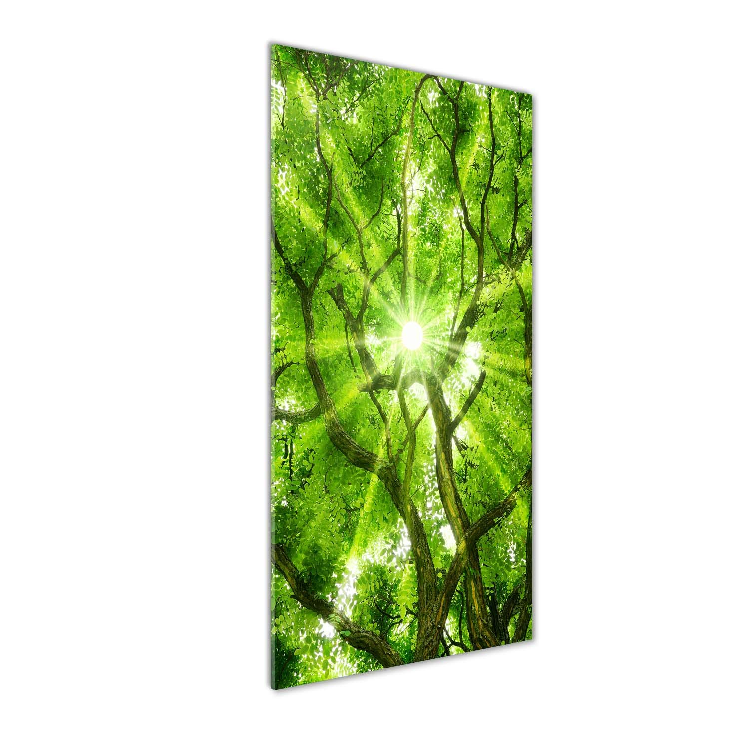 Déco Mural derrière le Plastique Tulup 50x125 | Image sur Verre Acrylique Vert