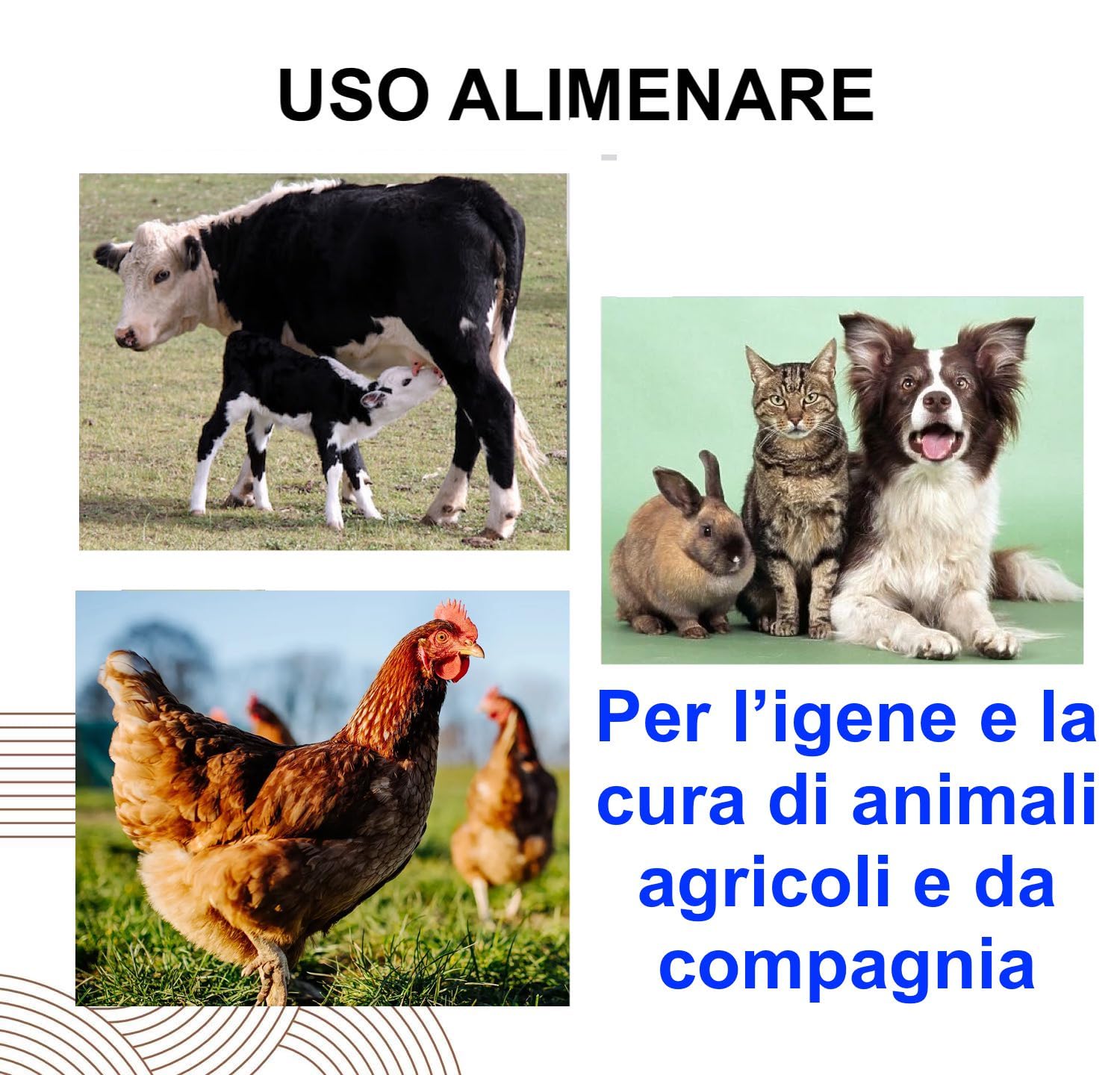 TERRA DIATOMEE DIATOMEA 100% farina fossile naturale non calcinata, ultrapura, ECOCERT Agricoltura Biologica, protezione ecologica, disponibile da 1,5 a 20 kg