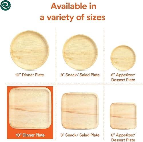 Miniatura 53 de ECO SOUL - Platos de hoja de palma desechables 100% compostables, biodegradables, como platos de bambú, ecológicos de 10 y 8 pulgadas, resistentes