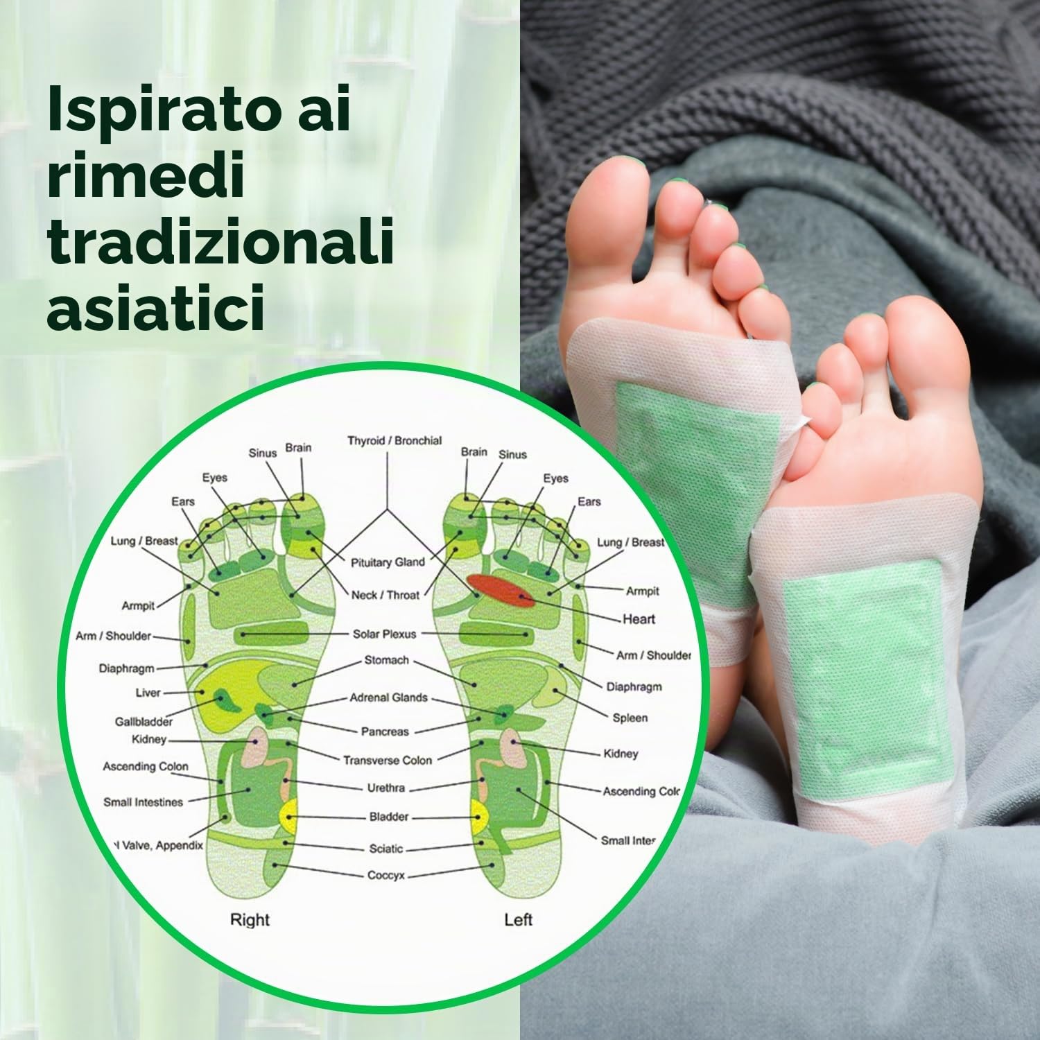 Bandoo Detox Foot Pads | Natural Deep Cleansing Foot Pads | Cerotti giapponesi | Rana Pads | 10 pastiglie