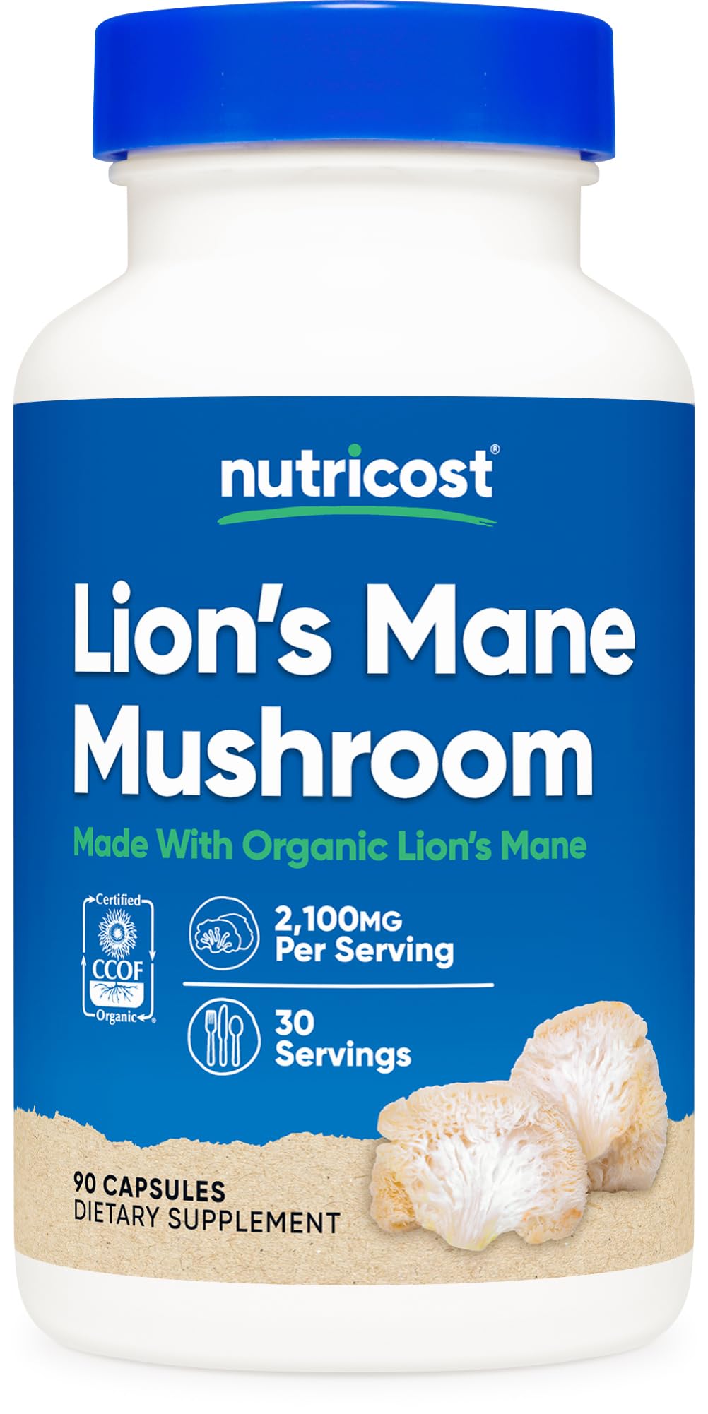 Lion's Mane Mushroom