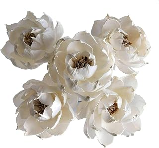 5 Peony Auguste Dessert Flower 3" Sola Flower Reed Diffuser for Home Fragrance By Plawanature
