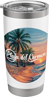 Playa Del Carmen Mexico Sunset Stainless Steel Insulated Tumbler