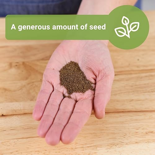 Miniatura 9 de Sow Right Seeds - Semillas altas de apio de Utah para plantar - Paquete de reliquia sin OMG con instrucciones para plantar y cultivar un jardín de