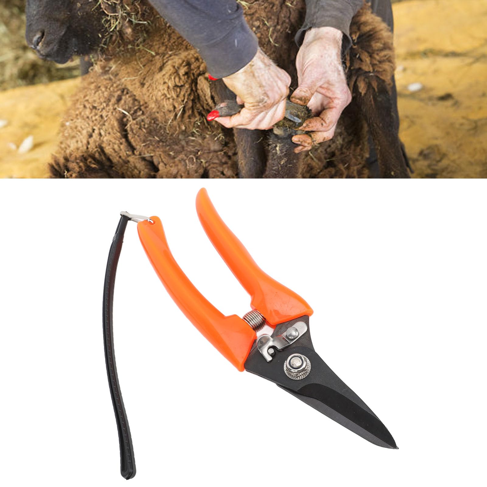 Tijeras para Pezuñas de Oveja Clavos Adornan las Pezuñas de Oveja Tijeras Cuchillo para Recortar Pezuñas Expertos Recortadores de Pezuñas de Alpaca Suministros para el Cuidado