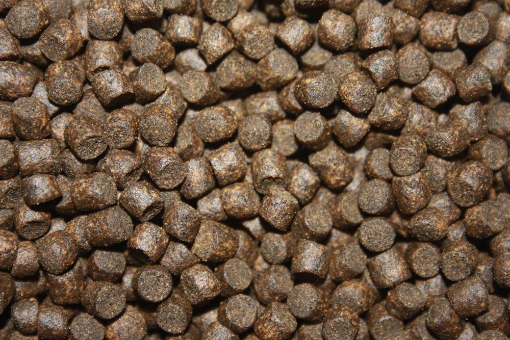 Koifutter Sinkfutter Koi Winterfutter sinkende Pellets kräfteschonend Energiefutter für Fische mit arktischem Fischmehl Fischöl hochverdaulich 5mm 15kg