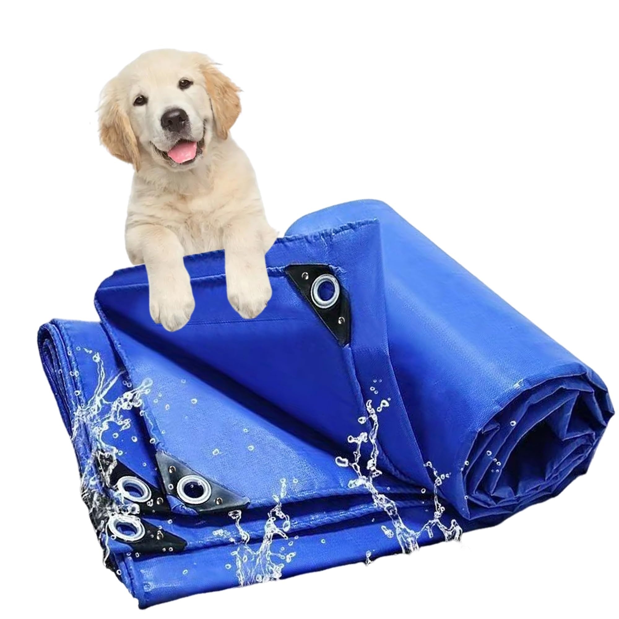Bâche étanche en PVC bleu 3x18.5 m pour serres et jardinage