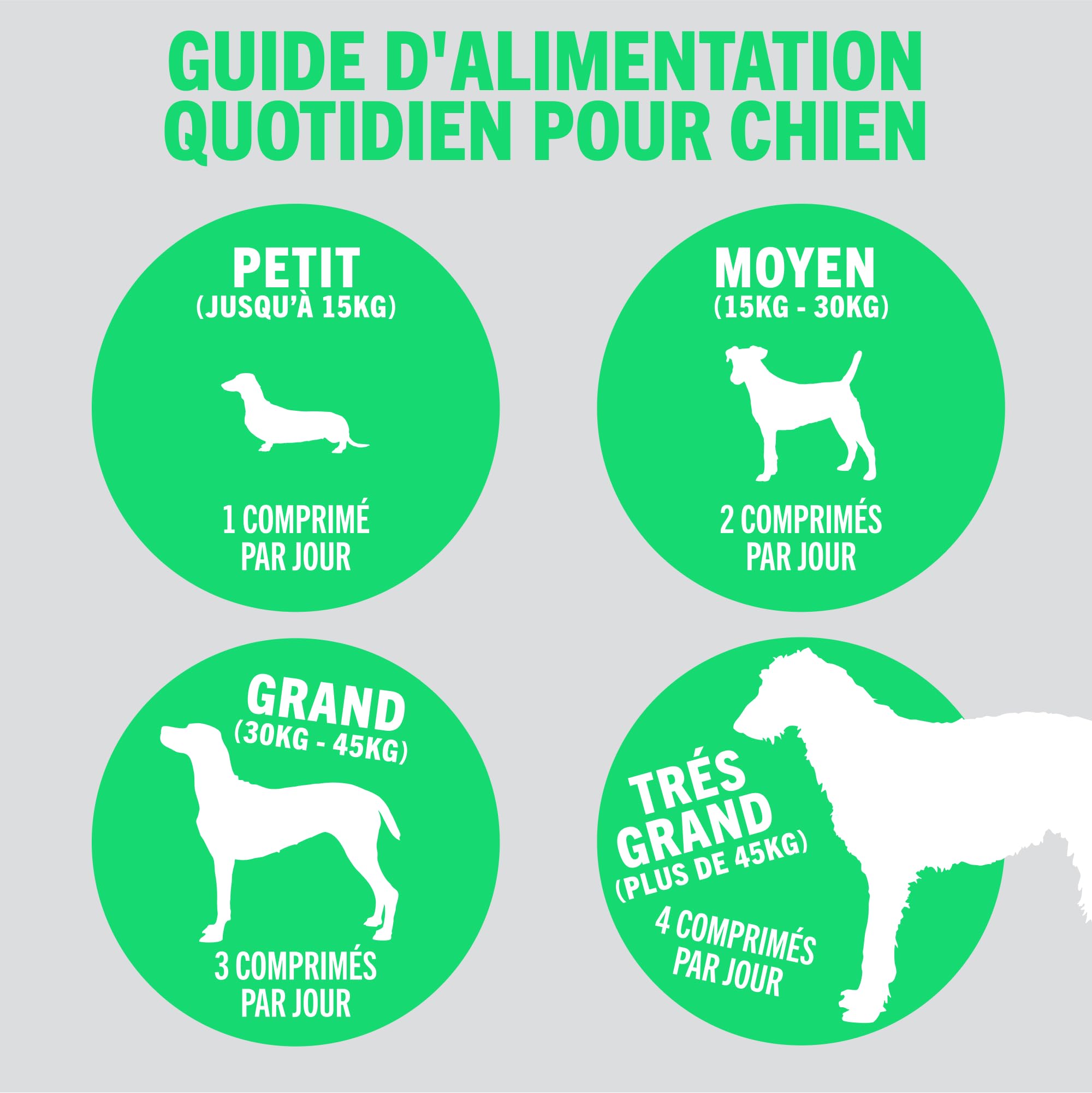 JOINTSURE Jeune & Actif Suppléments pour Les Articulations des Chiens et Chiots Aide à la Rigidité des Articulations 300 Comprimés - Hautes Teneurs en Glucosamine & Moule à Lèvres Vertes