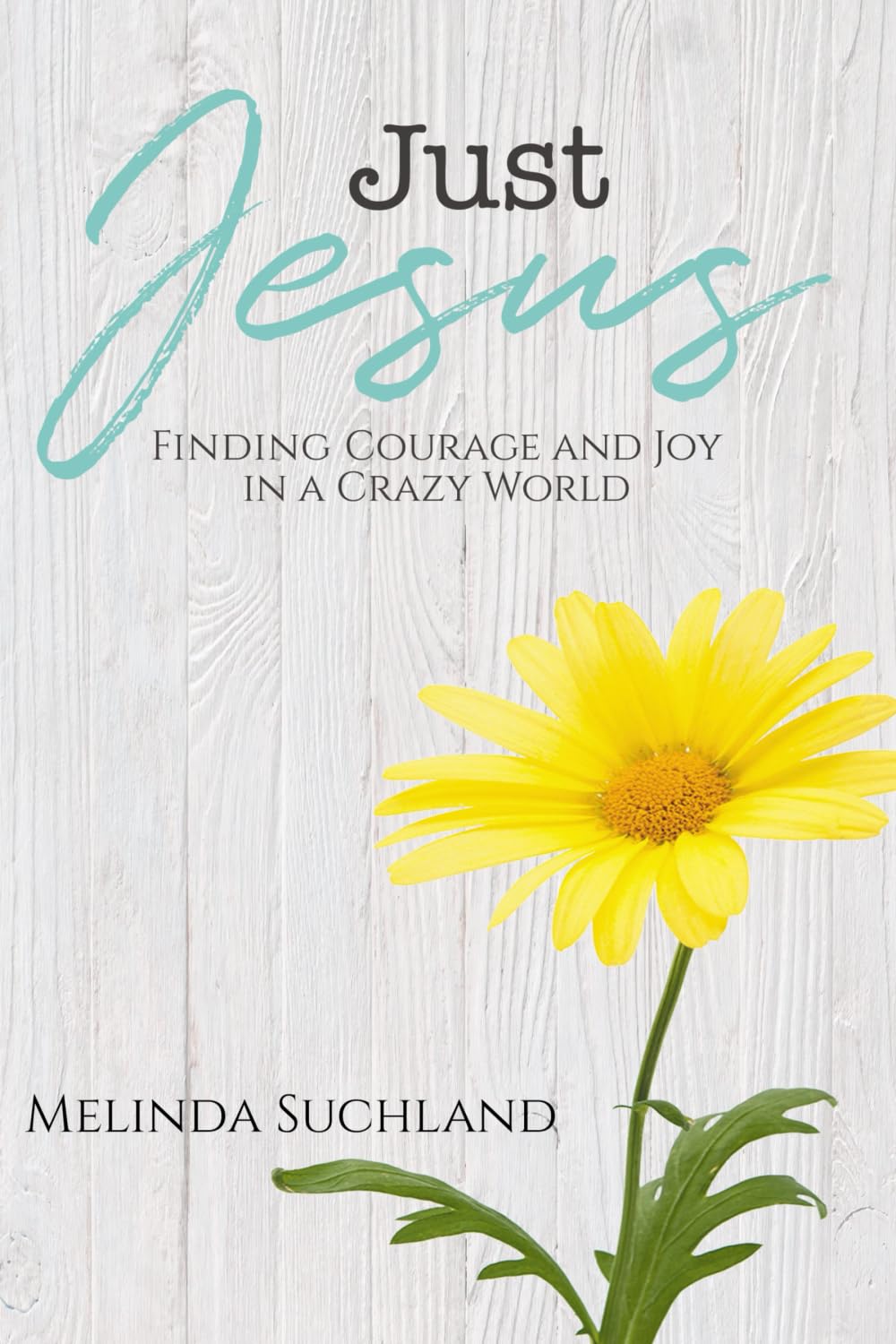 Just Jesus: Finding Courage and Joy in a Crazy World
