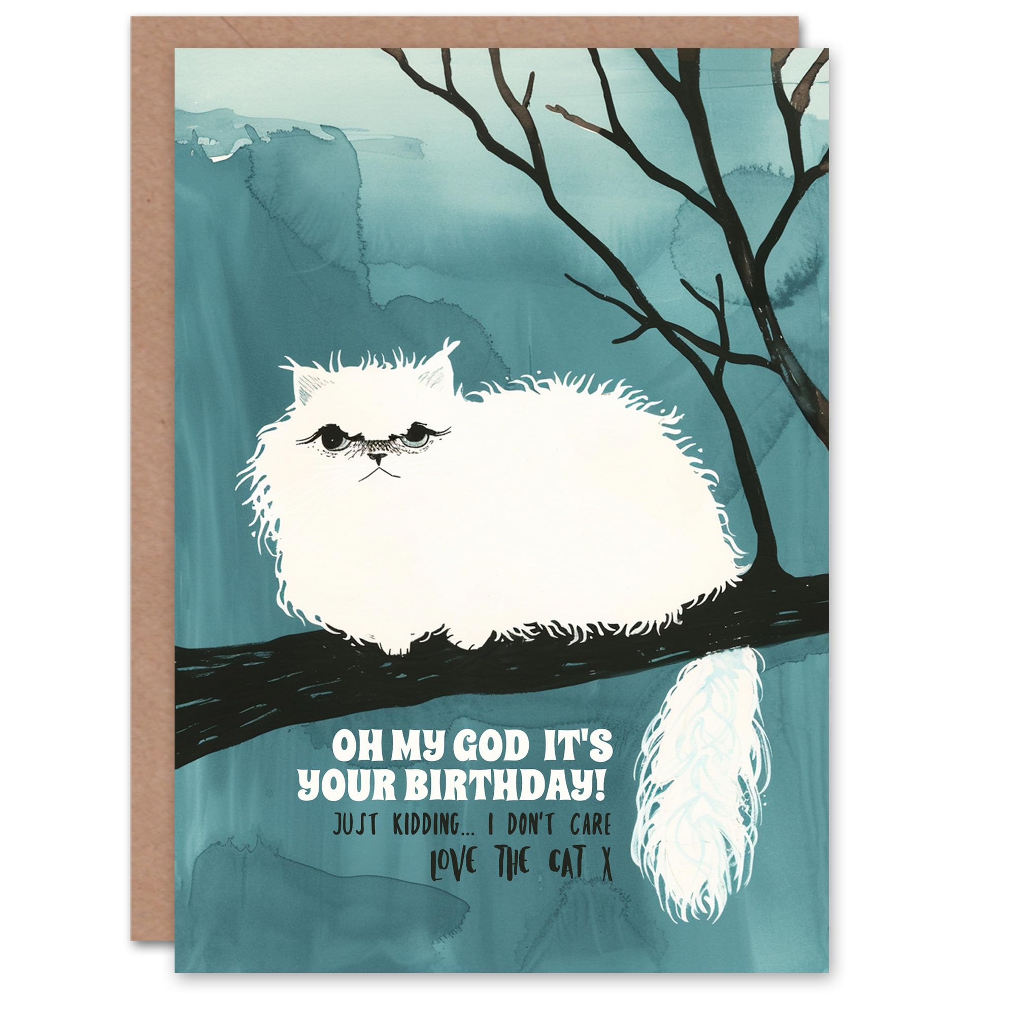 Artery8 Persian Pet Don't Care From The Cat Funny Cheeky Blank For Him Or Her Art Birthday Card