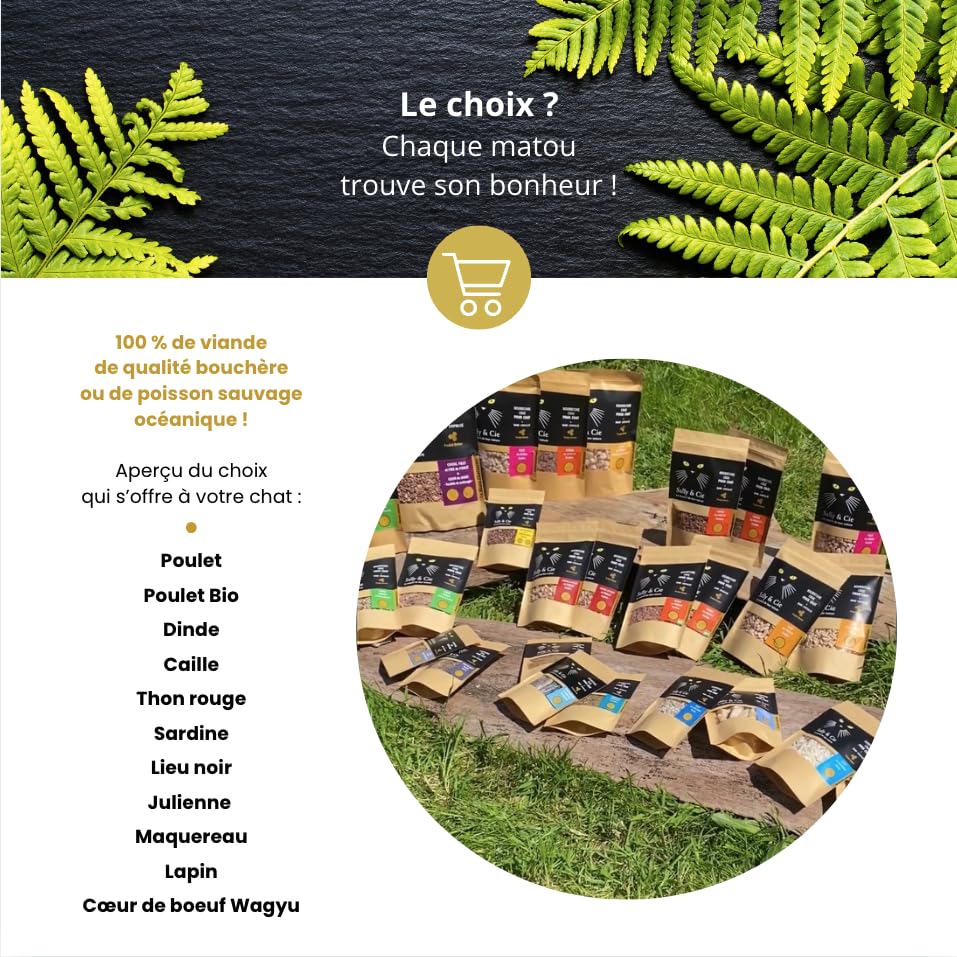 Croquette Barf - Cuisse et Filet de Poulet hachés Lyophilisée pour Chaton