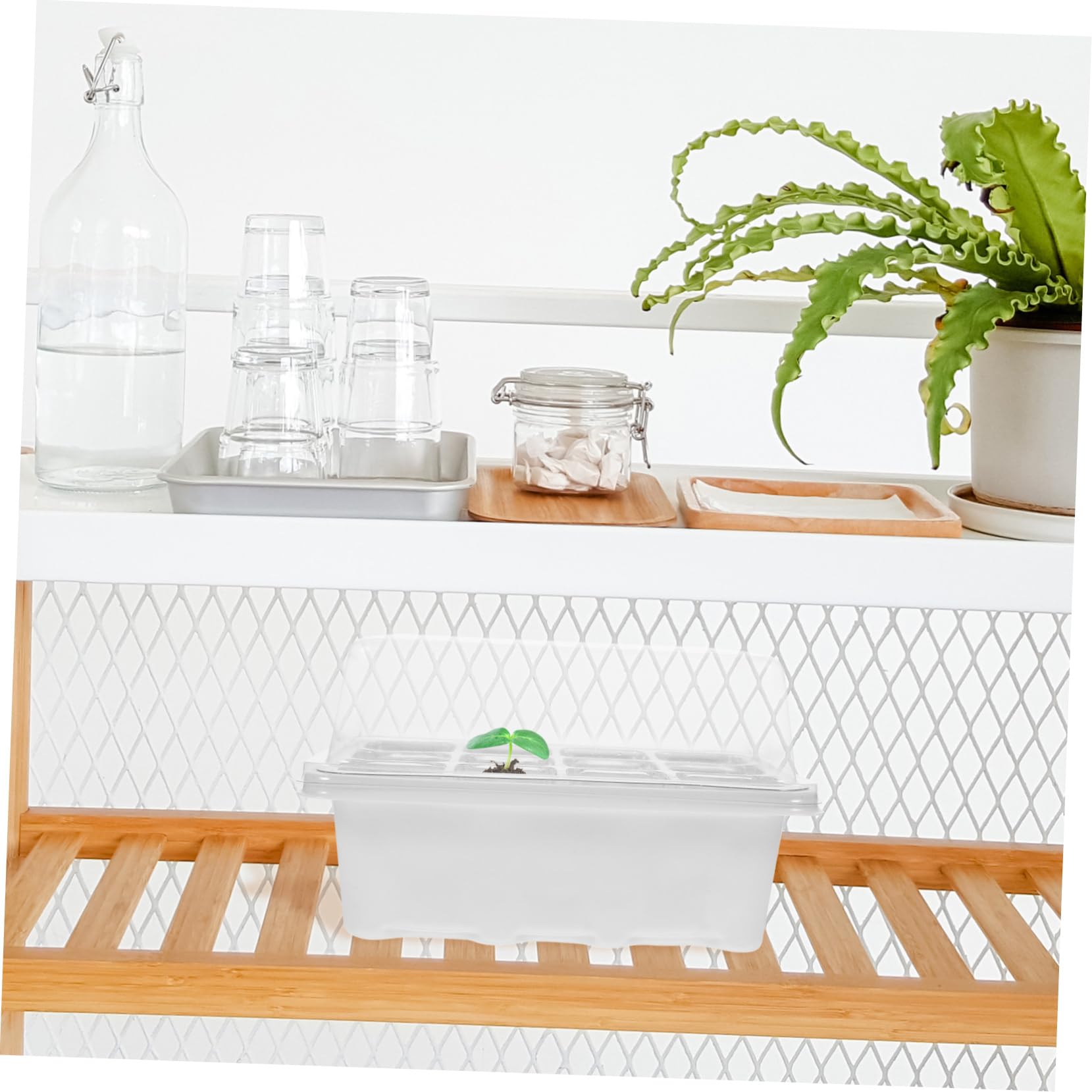 INOOMP 2juegos Bandeja De Germinación con Tapa para Plántulas De Huecos para Cultivar Semillas y Trasplantes Jardines y Huertos Kit Completo con Etiquetas De Plantas