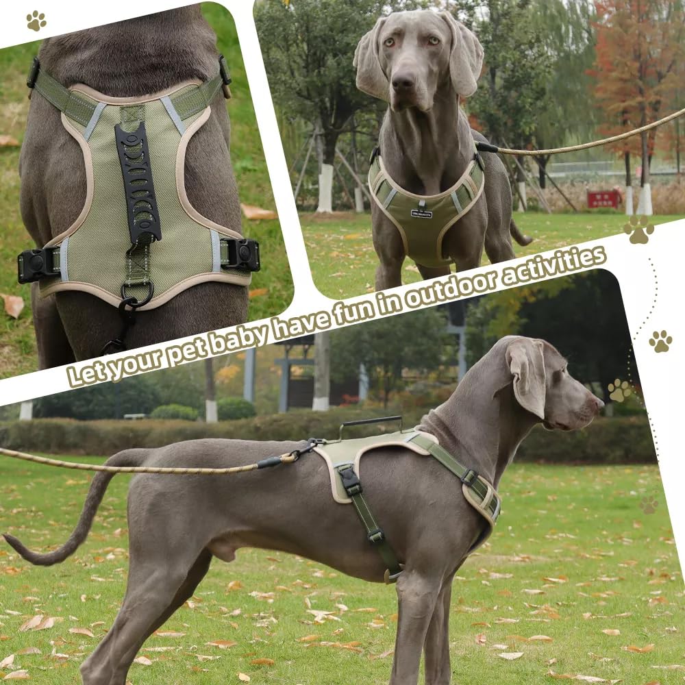 Dog Harness No Pull Adjustable Reflective,for Medium and Large Small Dog with Leash 59.06in (Khaki, L) - image 5