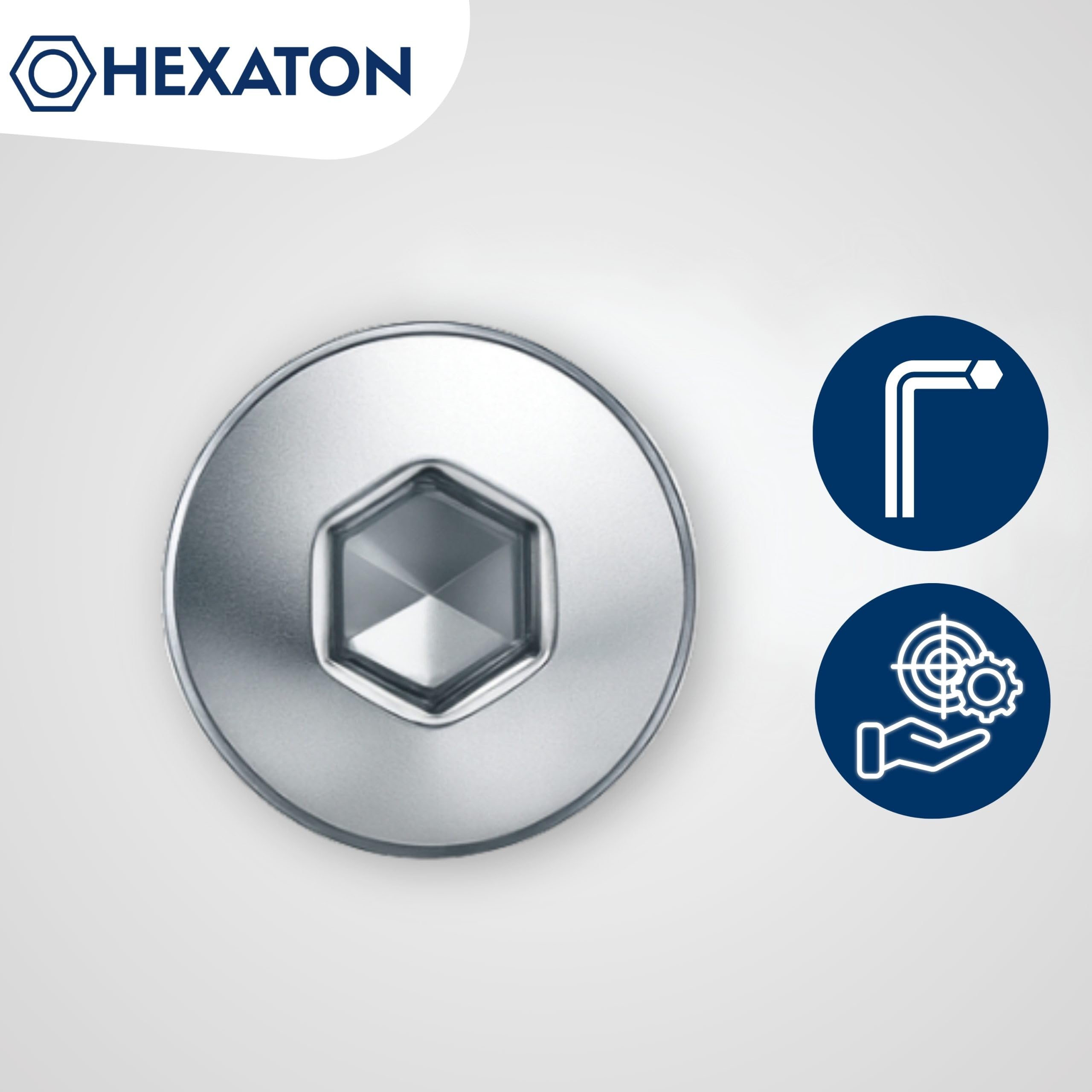 HEXATON Viti DIN 7991 M6 x 80 mm, Testa Svasata, Acciaio Zincato, 50 pz