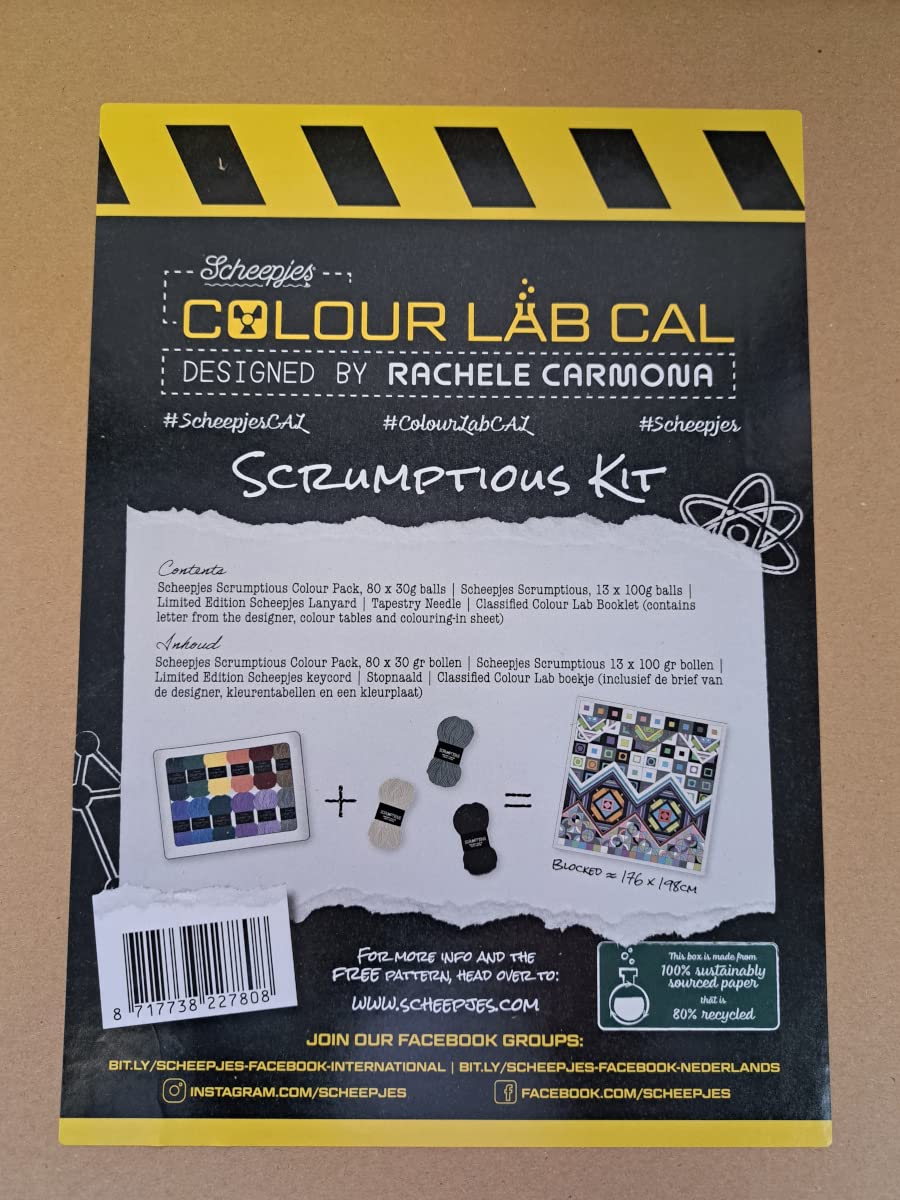 Scheepjes Colour Lab Cal Délicieux kit tricot complet et créatif