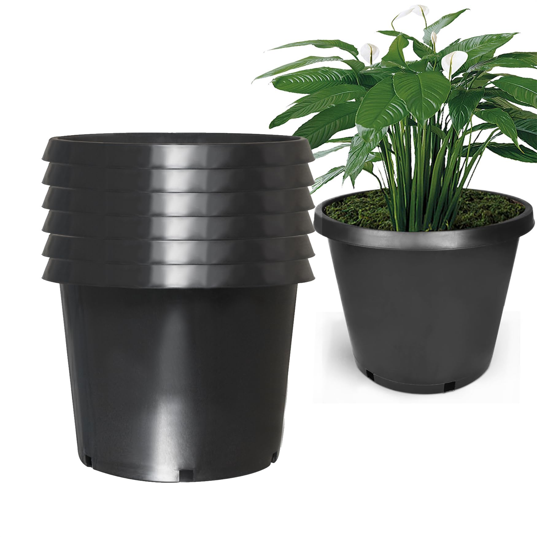 Nursery Planters Plastic at Michael Harbour blog