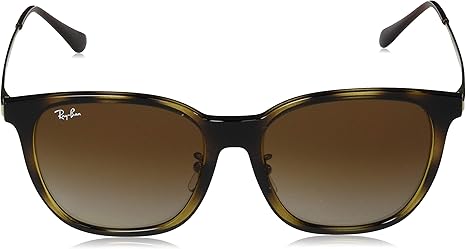 Ray-Ban　レイバン　サングラス　ブラウン　RB4333D レイバン公式ストア】 Ray-Ban® RB4333D サングラス | ブラック