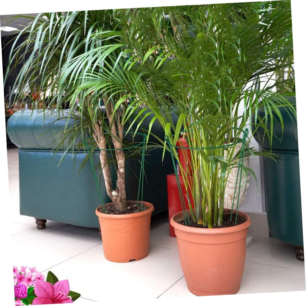 6pcs Half Round Plant Support Stands for Potted Plants Heavy Duty Garden Support Frame Sturdy Design and Flowers