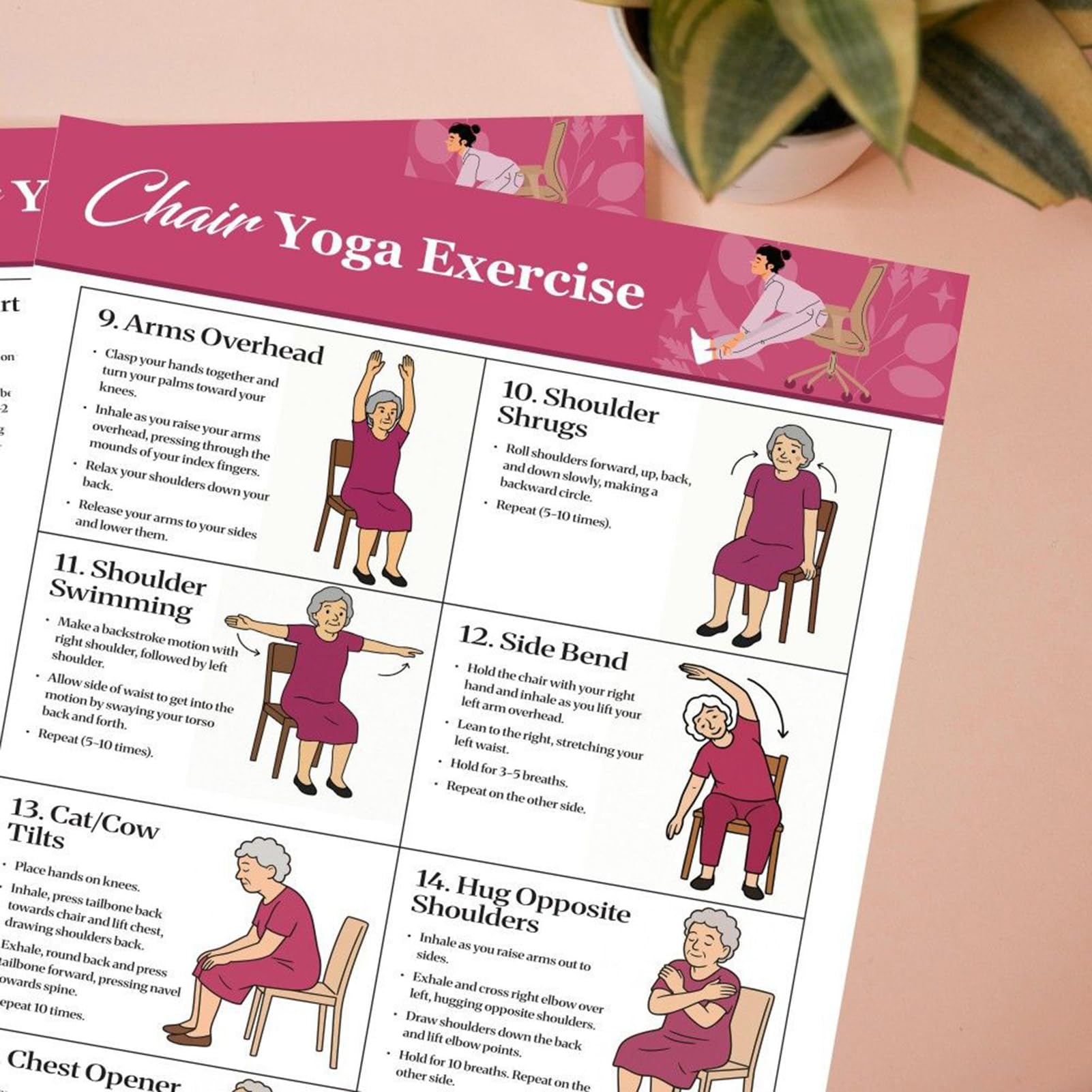 Plakat z ?wiczeniami krze?le dla seniorów, 11 elementów, plakat gimnastyczny w siedzeniu, bez boksu, stó? treningowy krze?le dla seniorów, do pilatesu, utraty wagi, domu, studia fitness, miejsca