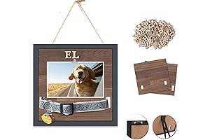 Pet Collar Shadow Box Keepsake Frame